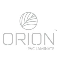 Orion